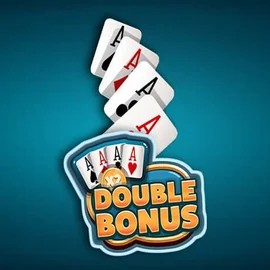 Enjoy Double Double Bonus by Red Rake Gaming – logo hosted on casoola.info