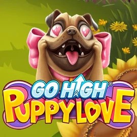 Go High Puppy Love logo – Slots by RubyPlay at Casoola Casino