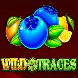 Wild Traces logo by Amusnet Interactive at Casoola Casino